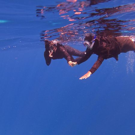 Olive Goidhoo Ξενοδοχείο Εξωτερικό φωτογραφία